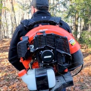 Echo PB-580 Backpack Blower