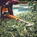 Stihl HSA140T Cordless Hedge Trimmer