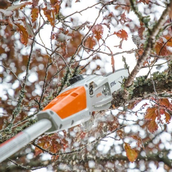 Stihl HTA50 Cordless Pole Saw AK