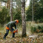 Husqvarna 435i Cordless Chainsaw